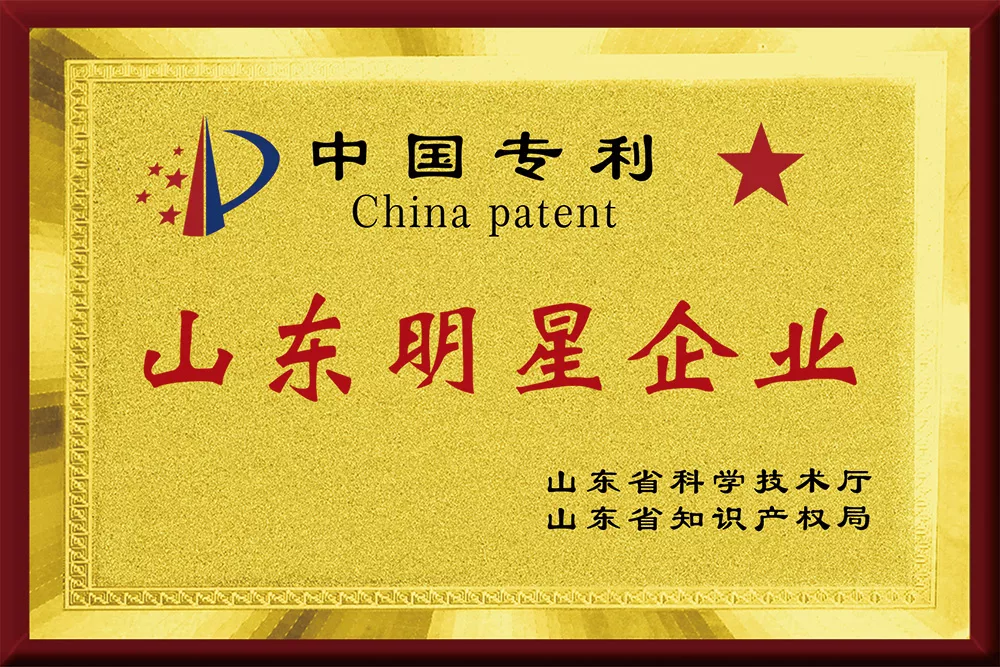 山东明星企业