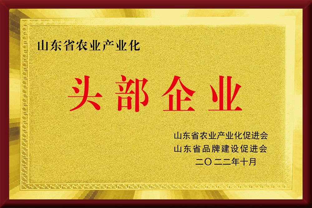 山东省农业产业化头部企业