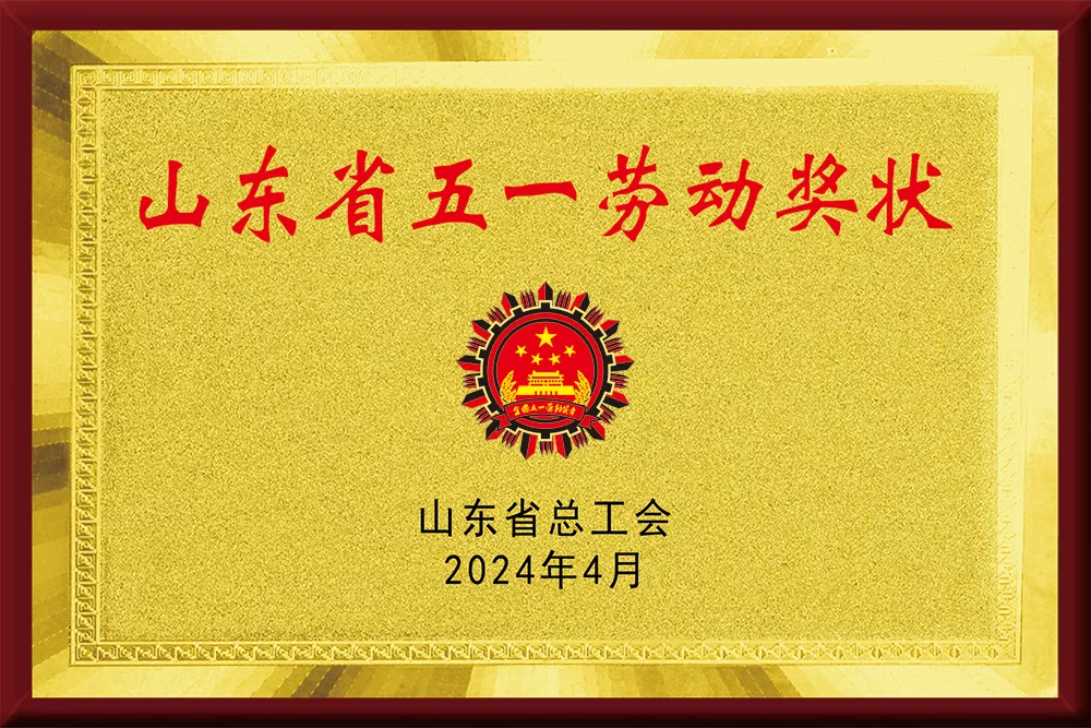 山东省五一劳动奖状