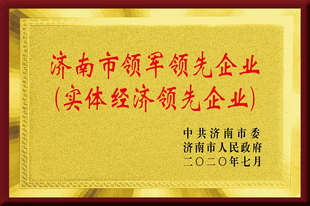 济南市领军领先企业
